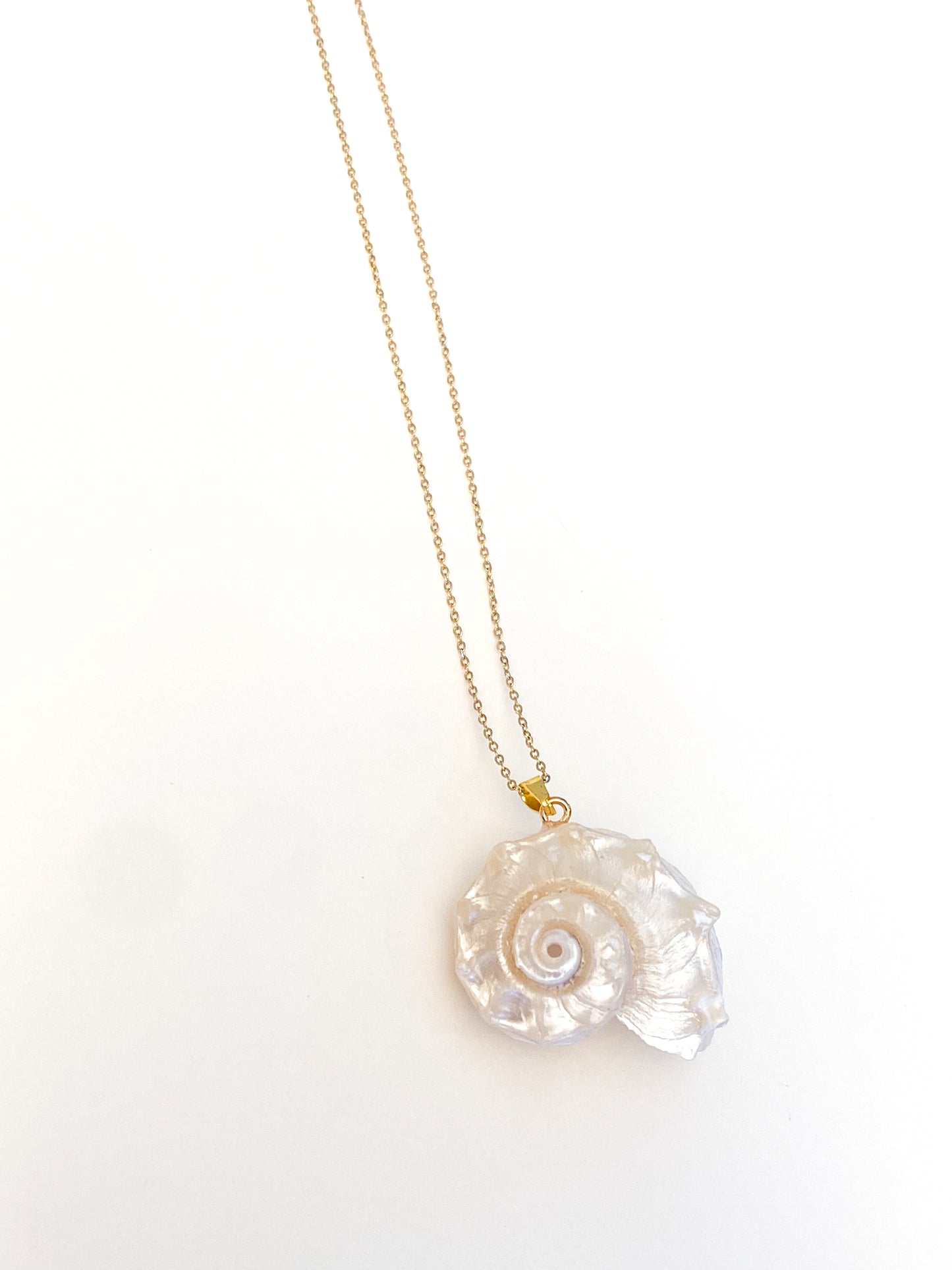 Nautilus shell necklace