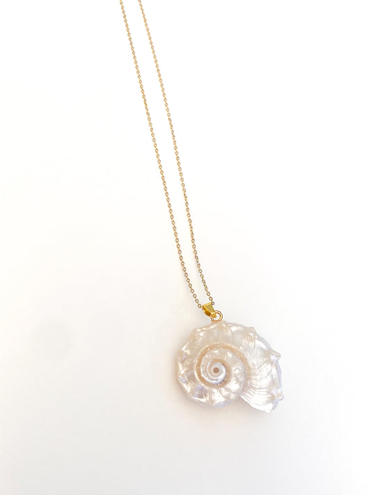 Nautilus shell necklace