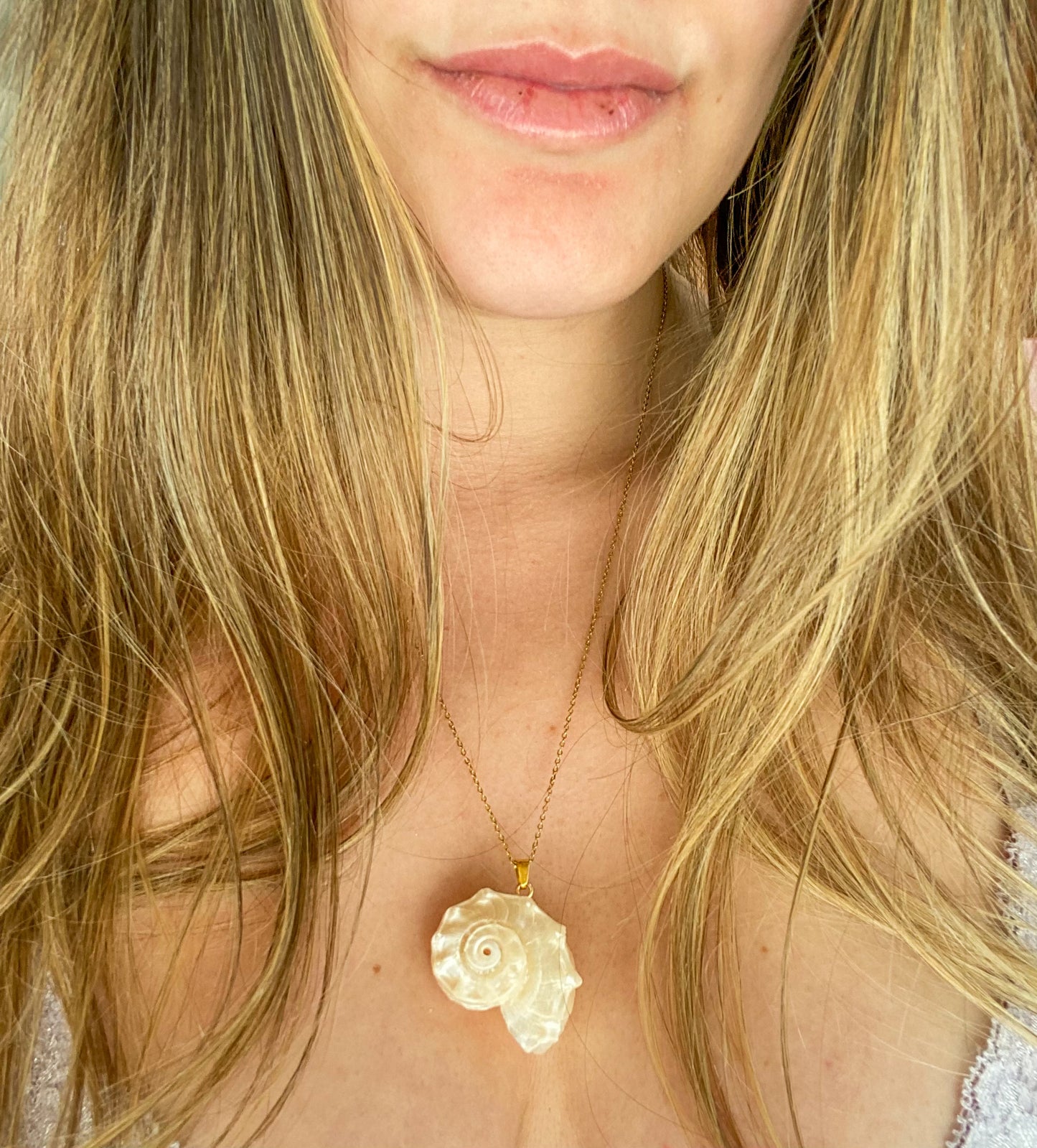 Nautilus shell necklace